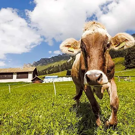 Lai Lifestyle 3* Lenzerheide